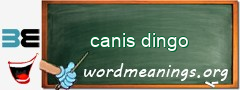 WordMeaning blackboard for canis dingo